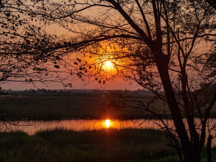 bff6e824-9488-401a-afb3-a63bc8191752