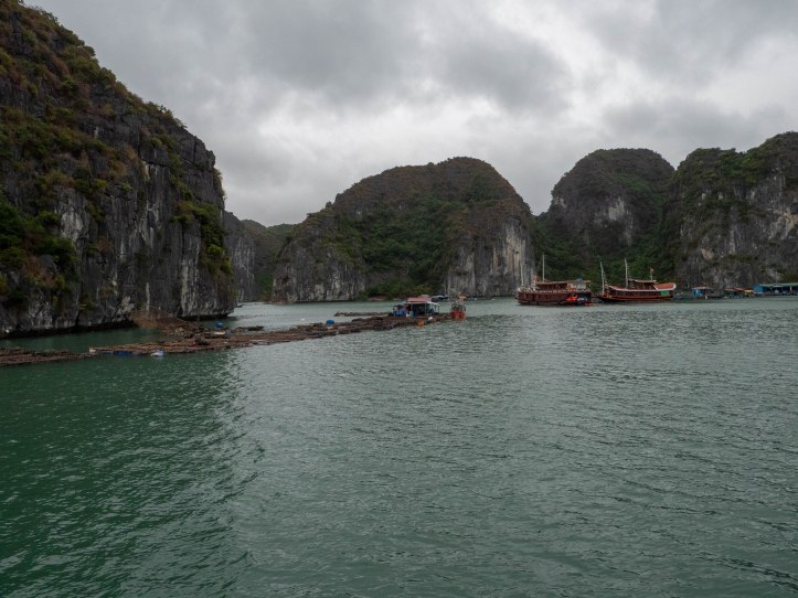 halong8
