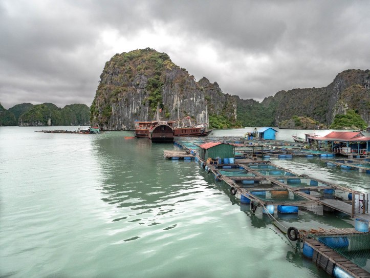 halong9