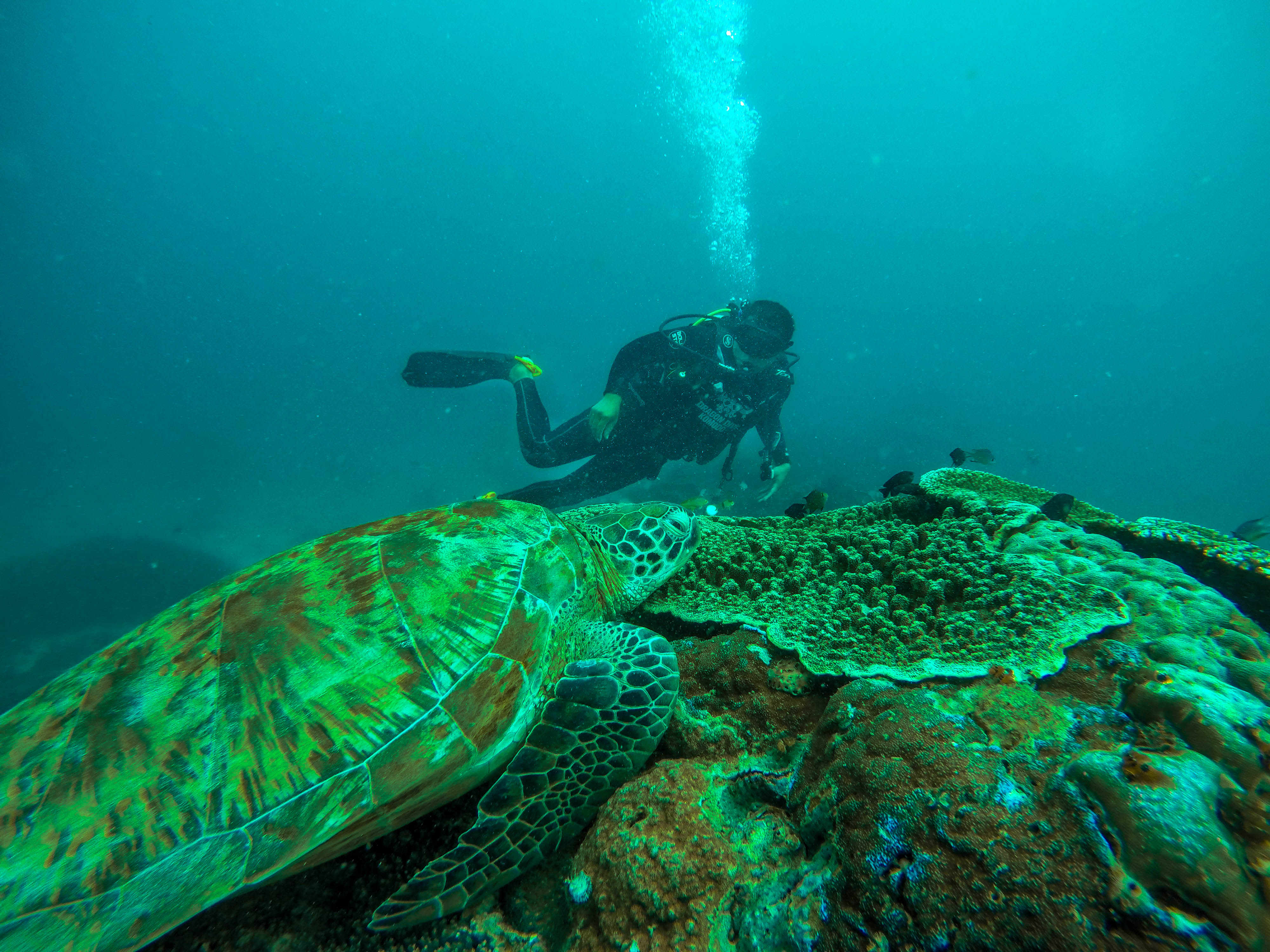 DCIM100GOPROG0987083.