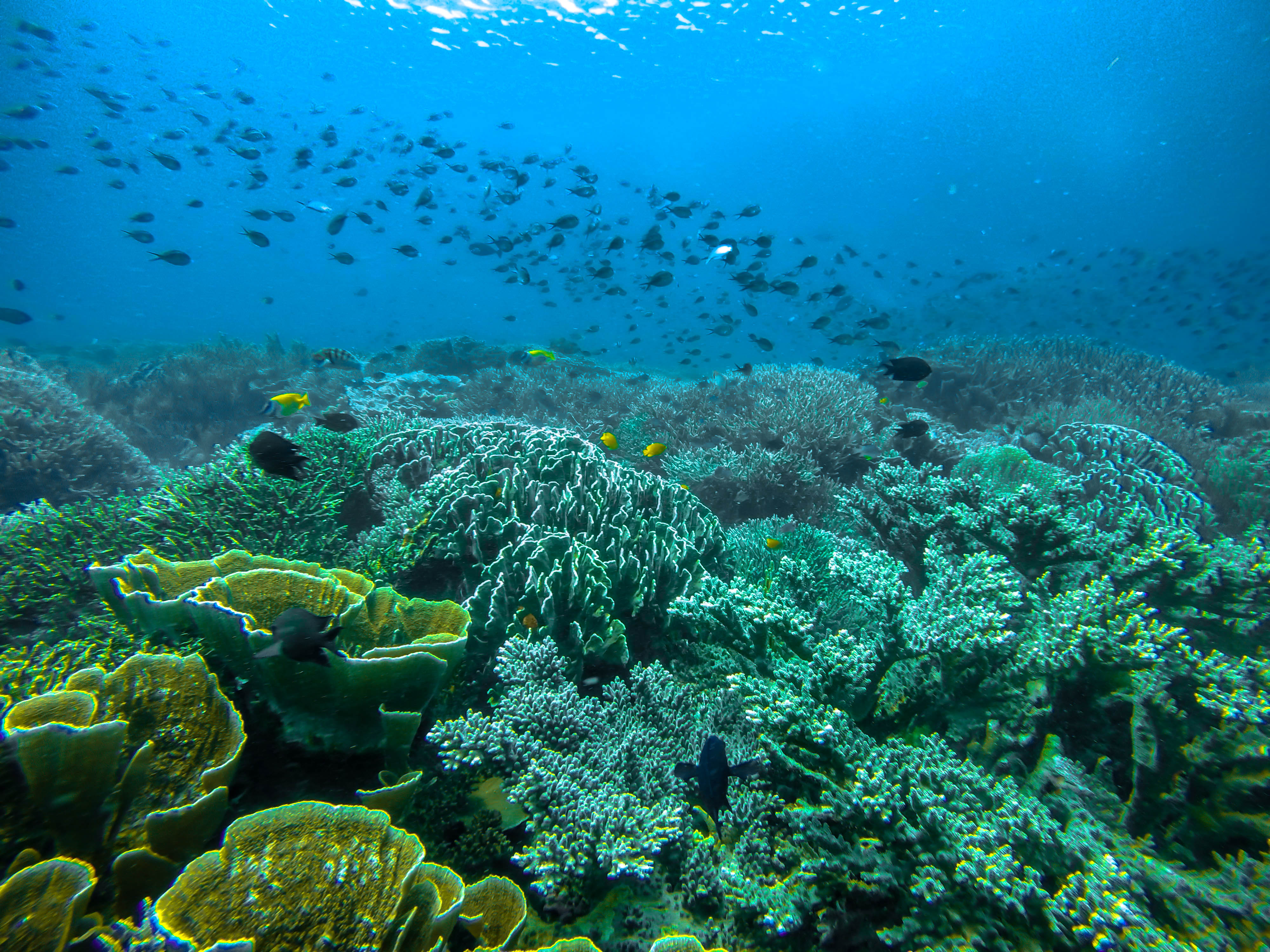 DCIM100GOPROG1057093.