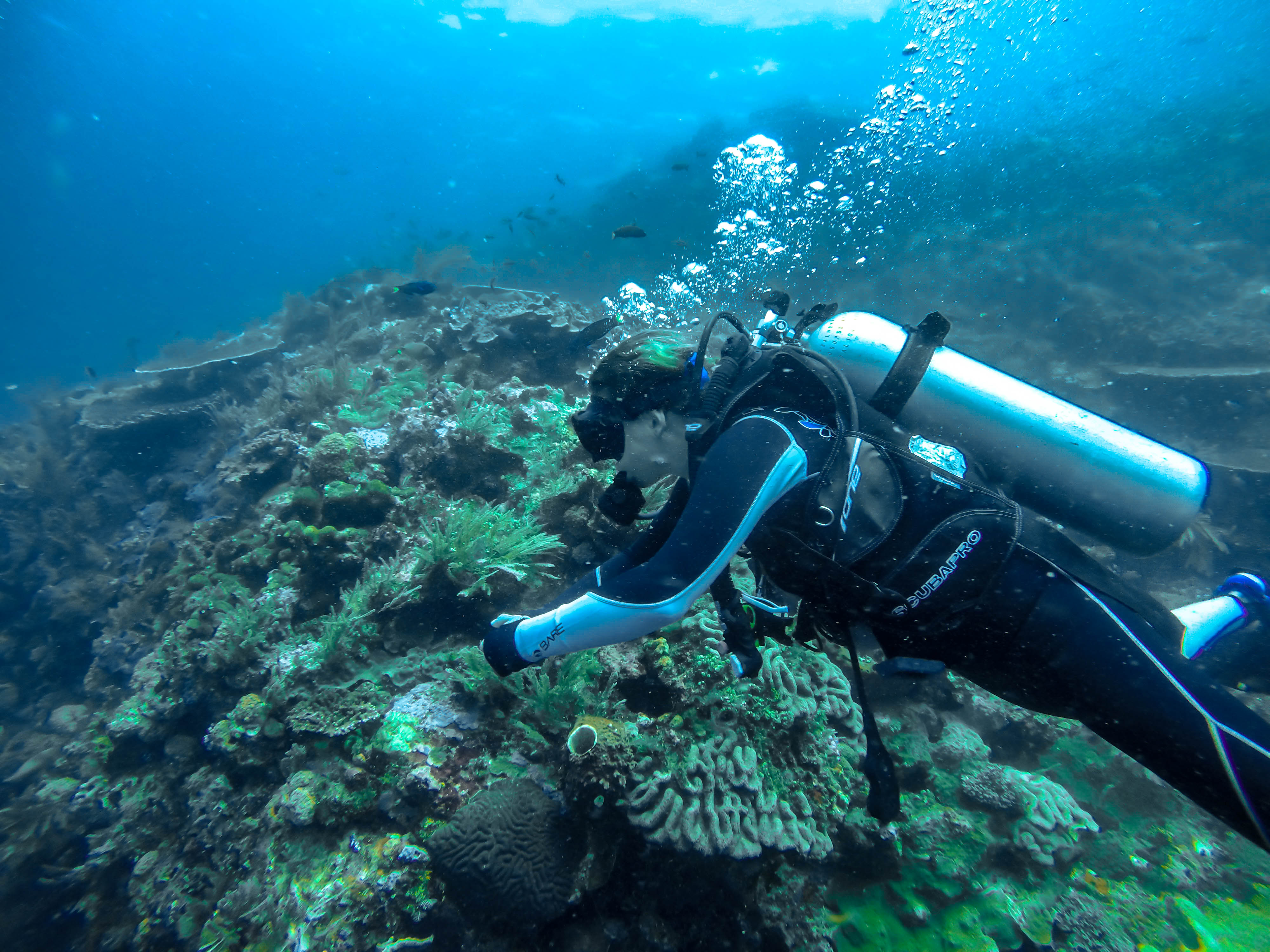 DCIM100GOPROG1077099.