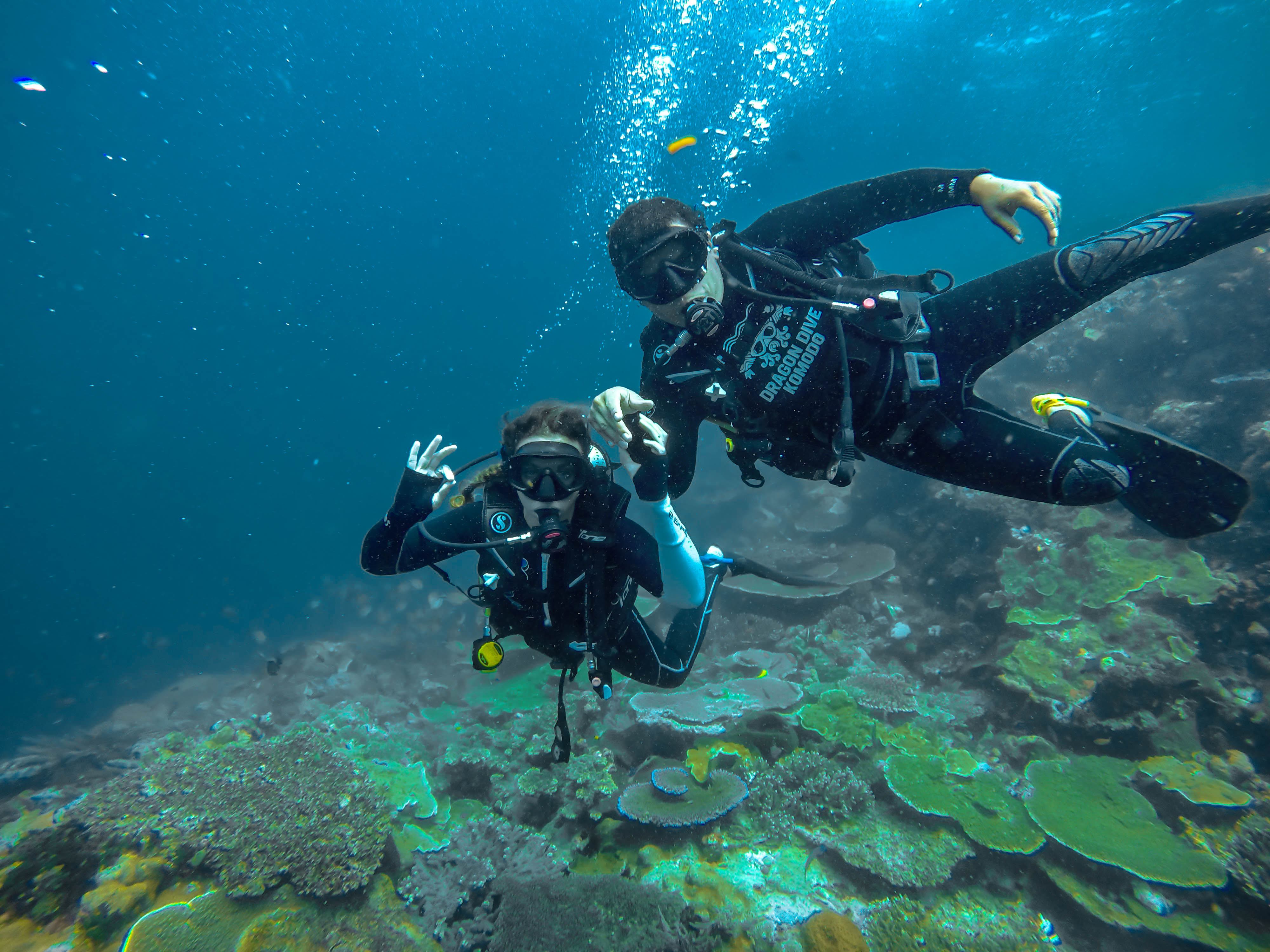 DCIM100GOPROG1097103.