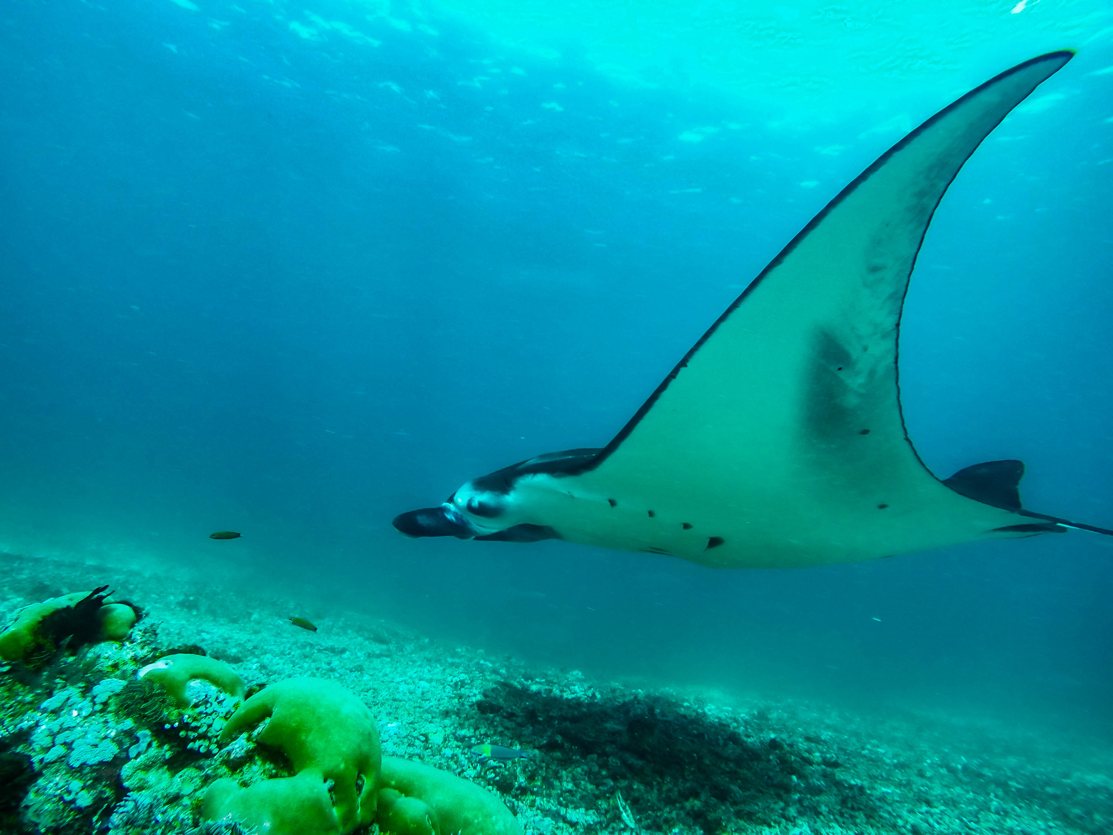 DCIM100GOPROG0086953.