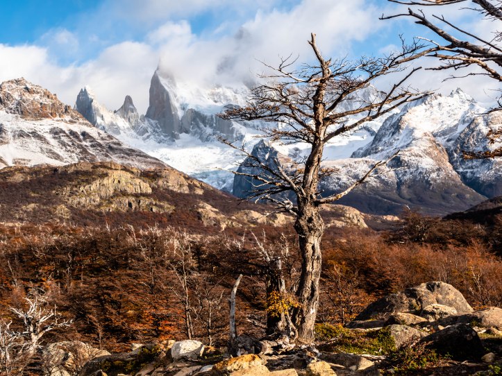 FITZ ROY 12