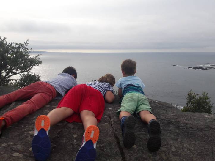 91685fee-d1c5-42c2-8b8c-8250c8899db9